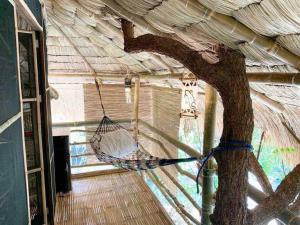 Tree House by the Ocean ( for 2 guests)