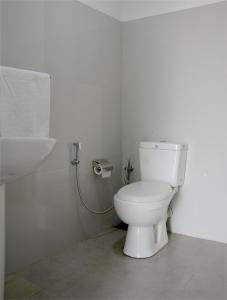 Paramata Accommodation