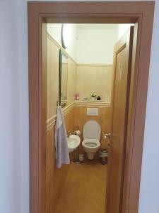 Mezonetovy Apartmán v centre Novej Dubnice