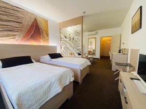 Large Twin Room room in Hotel Slamený dom