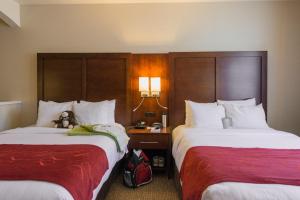 Queen Suite with Two Queen Beds - Accessible/Non-Smoking room in Comfort Suites Springfield RiverBend Medical
