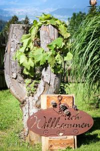 Ferienwohnung Weitblick