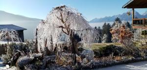 Ferienwohnung Weitblick