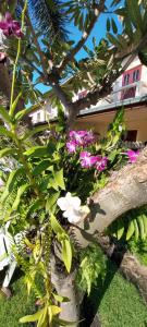 Baan Victoria paradise resort