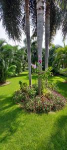 Baan Victoria paradise resort