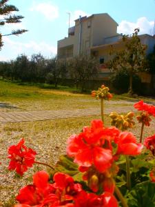 Zinovia Chania Greece