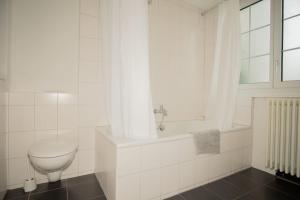 Spacious apartment next to park with free BaselCard