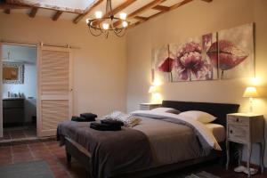 B&B / Chambres d'hotes Chateau Puygrenier : photos des chambres