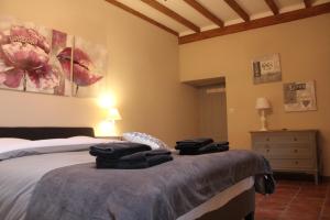 B&B / Chambres d'hotes Chateau Puygrenier : photos des chambres