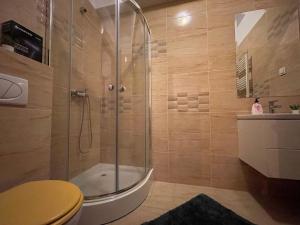 Apartment near Palas Mall