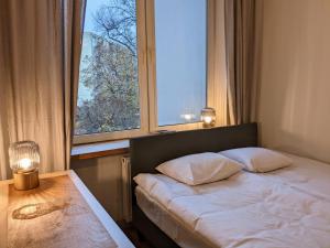 Spielberg 2 BR apartment