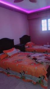 شقة مفروش الاسكندرية العجمي البيطاش تري البحر