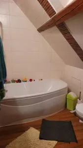 CHAMBRE D'HOTE A 15 MIN DU CIRCUIT DES 24H DU MANS - La Chapelle-Saint-Aubin