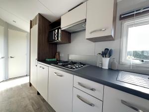 Chalet 550 op Recreatiepark de Wielen