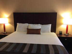 King Room - Disability Access - Non-Smoking room in Wingate by Wyndham High Point