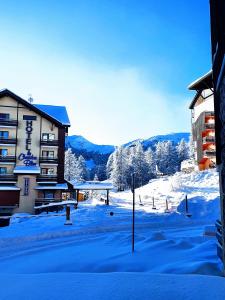 Appartements RISOUL 1850 Appartement T2 confortable skis aux pieds a 300 m centre : photos des chambres