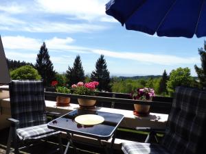 Komfortable Wohnungen und Studio in Sankt Englmar