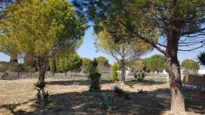 Domaine de LOutarde Canepetiére Gîte A