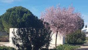 Domaine de LOutarde Canepetiére Gîte A