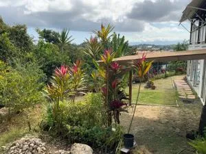 L'EXOTIK 2 - Garnier