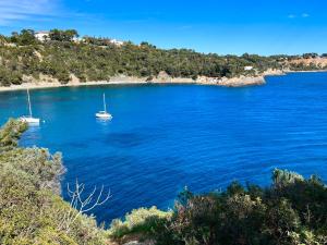 Appartements Cosy Provencal proche des plages : photos des chambres