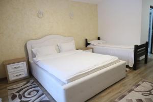 Pensiune Domeniul Stanca