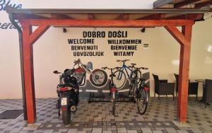 Design Apartments Red Blue