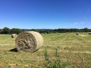 Maisons de vacances Maison Marigoule - Perfect with kids & families : photos des chambres