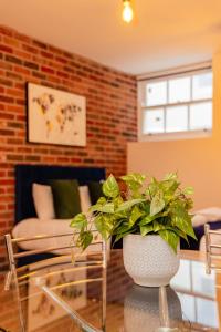 FLASH SALE Brighton City Centre Seafront 1 Bedroom Flat BN115FSTO02
