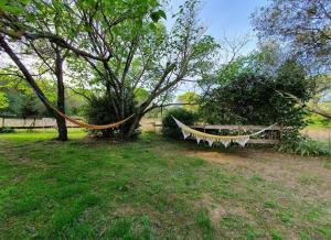 B&B / Chambres d'hotes Aux berges du pont du gard : photos des chambres