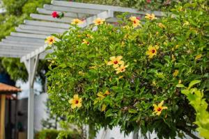 Casa de praia aconchegante em Salinas