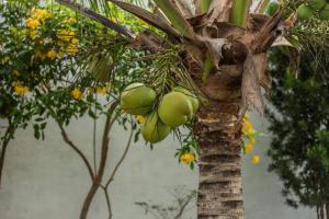 Casa de praia aconchegante em Salinas