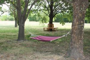 Villas Le festival d'Avignon a pied ou a velo depuis une Magnifique propriete : photos des chambres