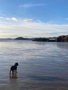 Glasfryn Cottage Dolgellau