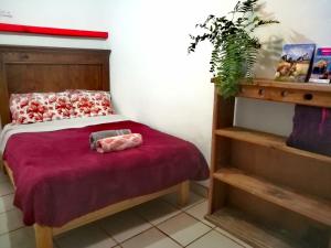 Home Sweet Home Guanajuato