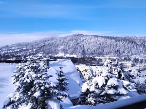 Apartament nr 5 U Miśka z jedną sypialnią