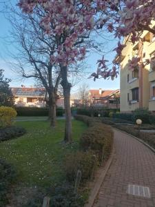 La Casa Blu- Forum di Assago, Humanitas, Milanofiori, IEO