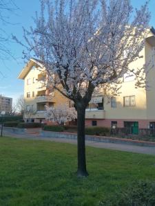 La Casa Blu- Forum di Assago, Humanitas, Milanofiori, IEO
