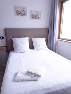 Appartements Beau-Jean, Un Cocon Sympa 5 min a Pied du Centre-Ville, Parking Prive, a 10 min du CHU : photos des chambres