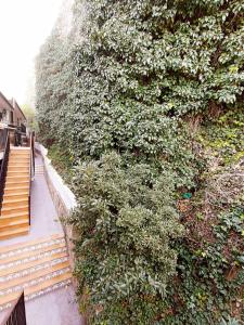 APARTAMENTO AMANECER