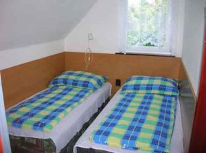 Apartments in Siofok - Balaton 43965