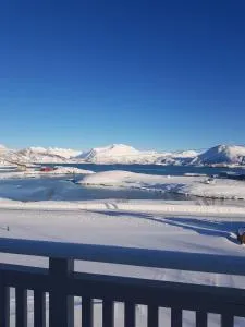 2 Bedrooms Apartment in Sommarøy Island - Grashopen