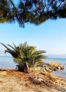Stilvolle Villa mit Strandlage