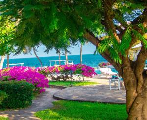 MARIA, the Star on the sea beach cottages - cottage JIRANI