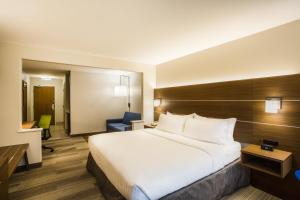 Standard King Room room in Holiday Inn Express Hotel & Suites Cedar City an IHG Hotel