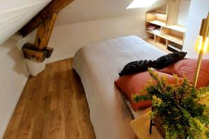 Appartements Studio chaleureux classe 3 etoiles - Idealement situe : photos des chambres