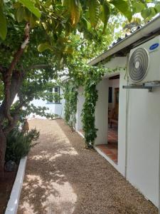 Prince Albert Cottage