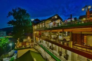 Dalhousie valley Resort By DLS Hotels - Banikhet