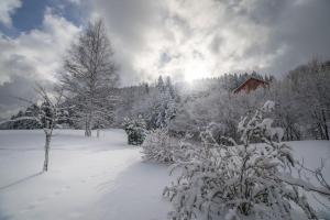 Chalets Les Griottes, veritable chalet de montagne, avec Jacuzzi et Sauna : photos des chambres