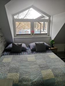 City Center Apartments - Apartamenty nad rzeką Nettą - Kilińskiego 22